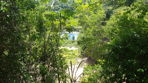 Fazenda Cupido e Refúgio (Cacau, Cocoa, Chocolate, Camping) - Image 2