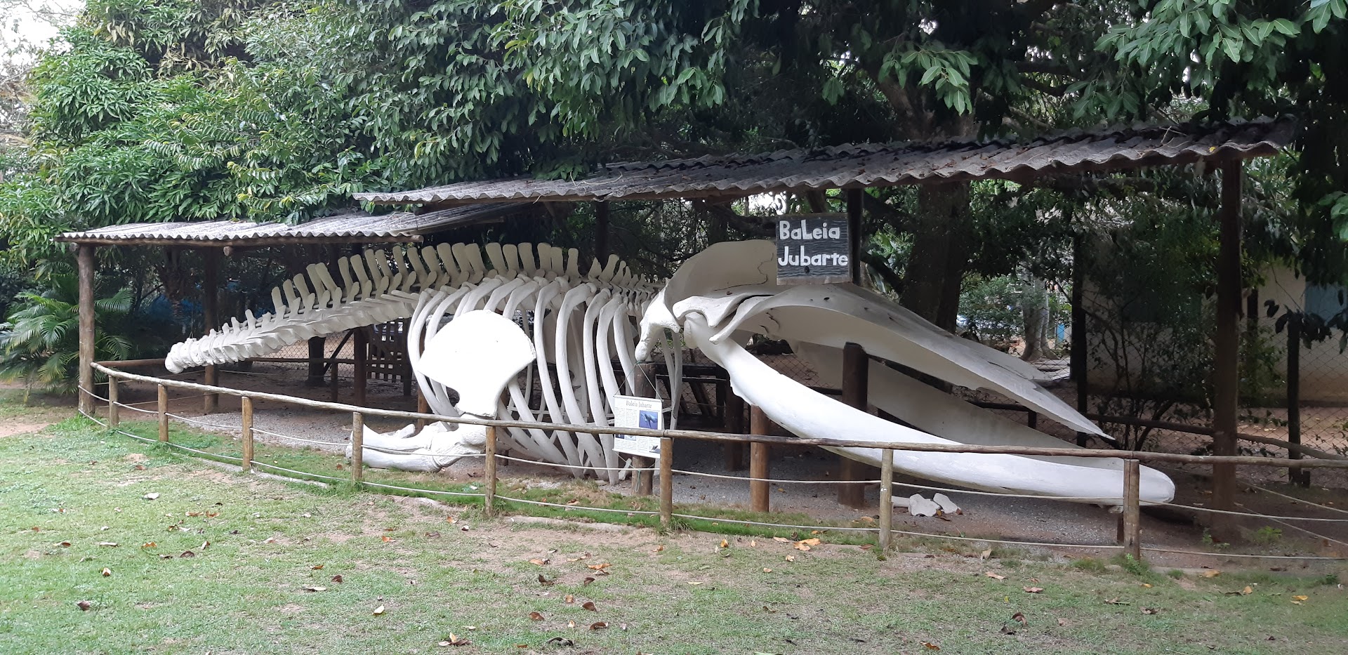 Camping das Pitangueiras - Image 4