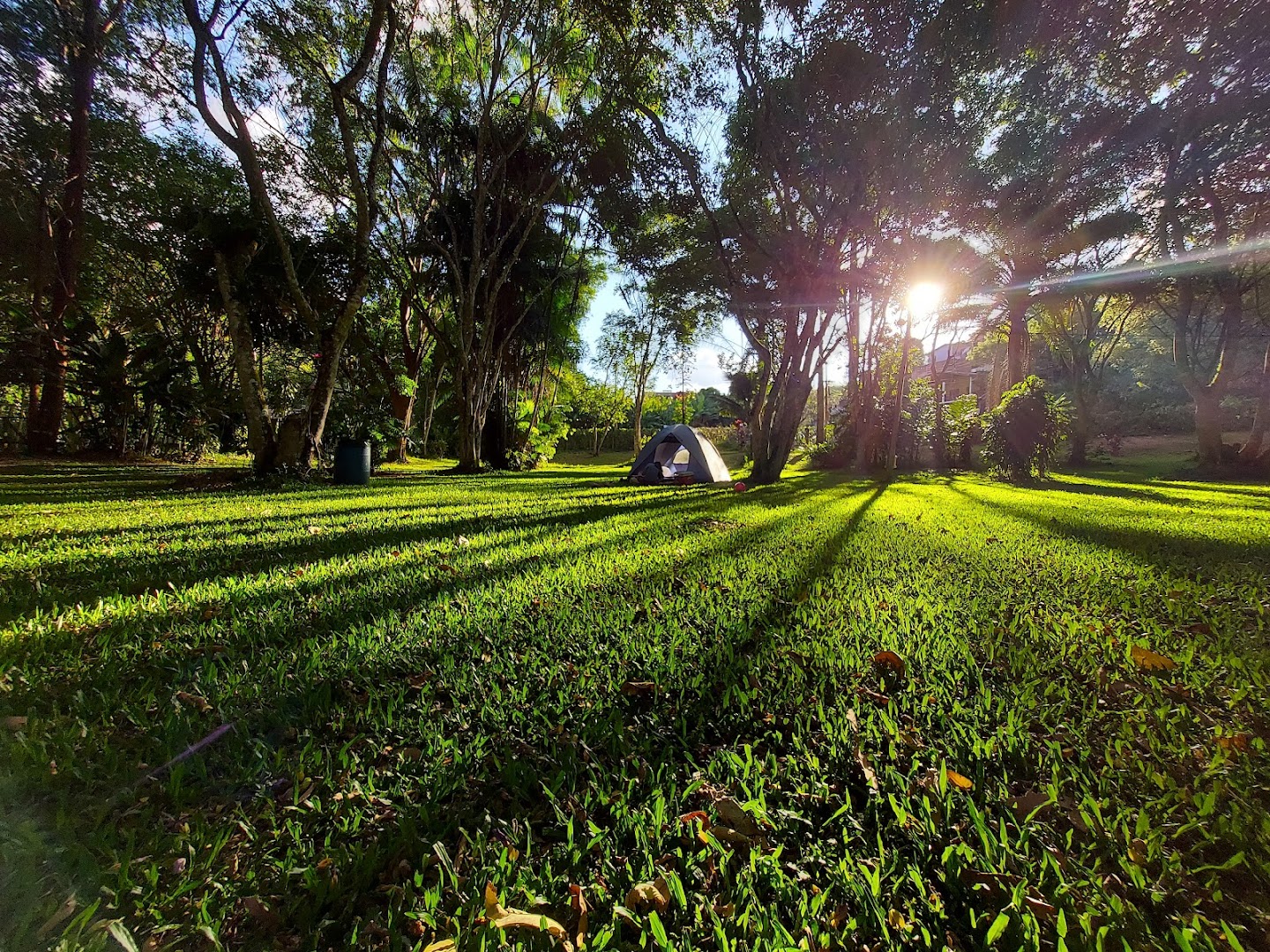 Alto da Serra - Image 3