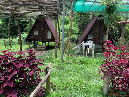 7Strelo - Main Image