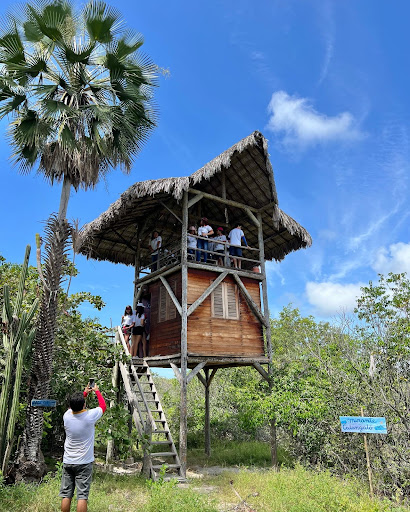 Eco Aldeia Flecha da Mata - Image 4