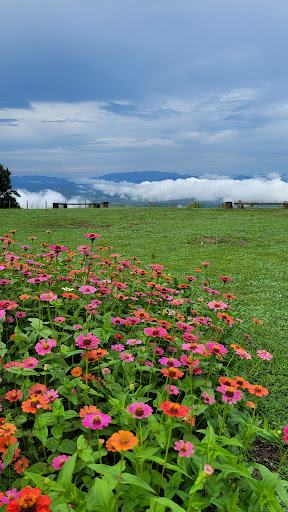 Porto das Nuvens - Image 3