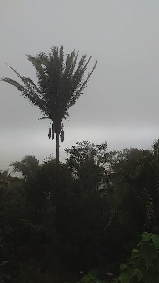 Espaço Roots Camping - Image 2