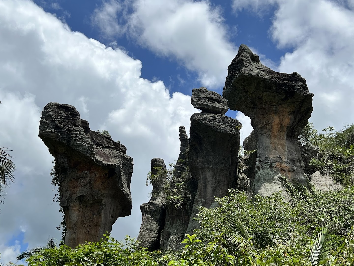 Reserva Natureza Divina - Main Image