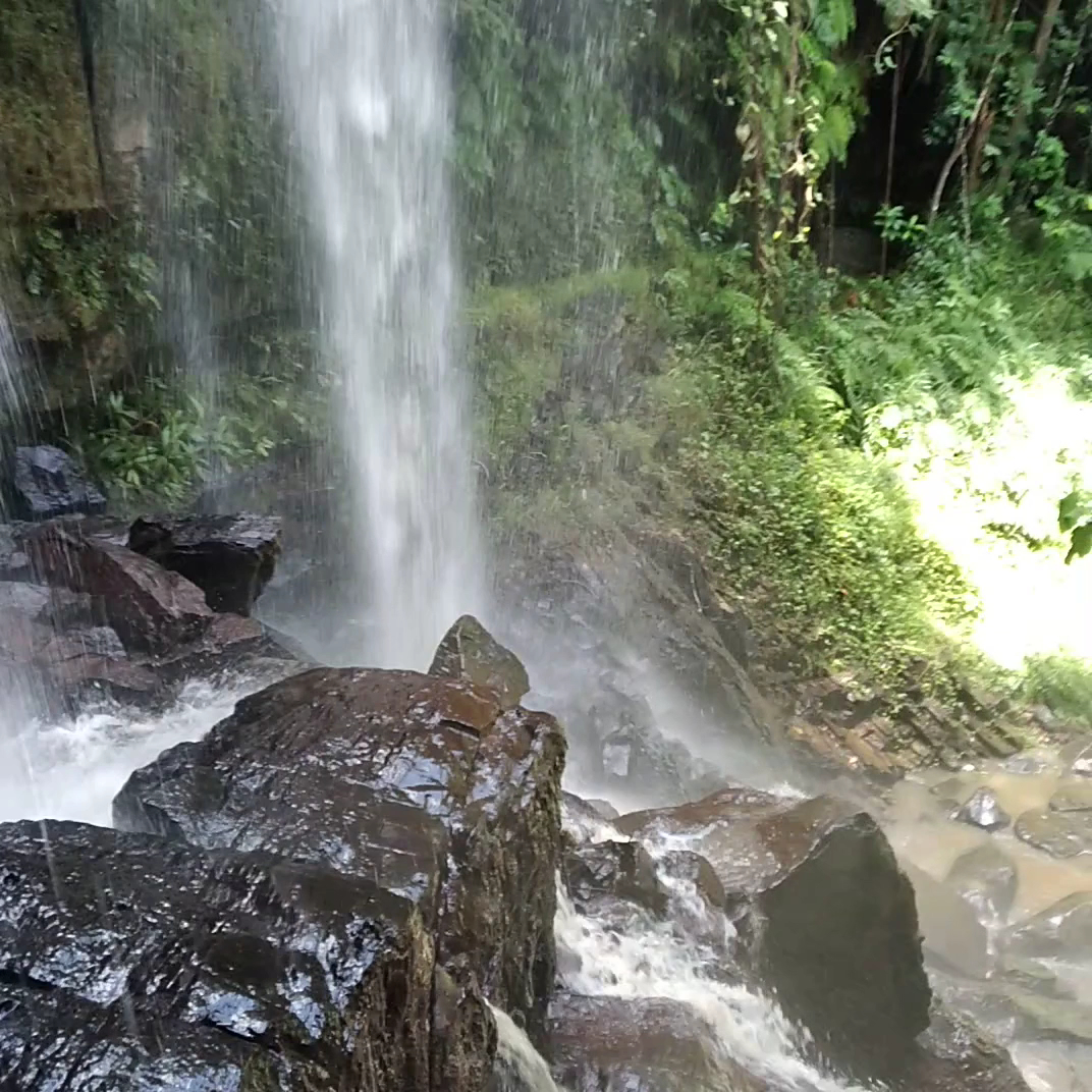 Reserva Natureza Divina - Image 2