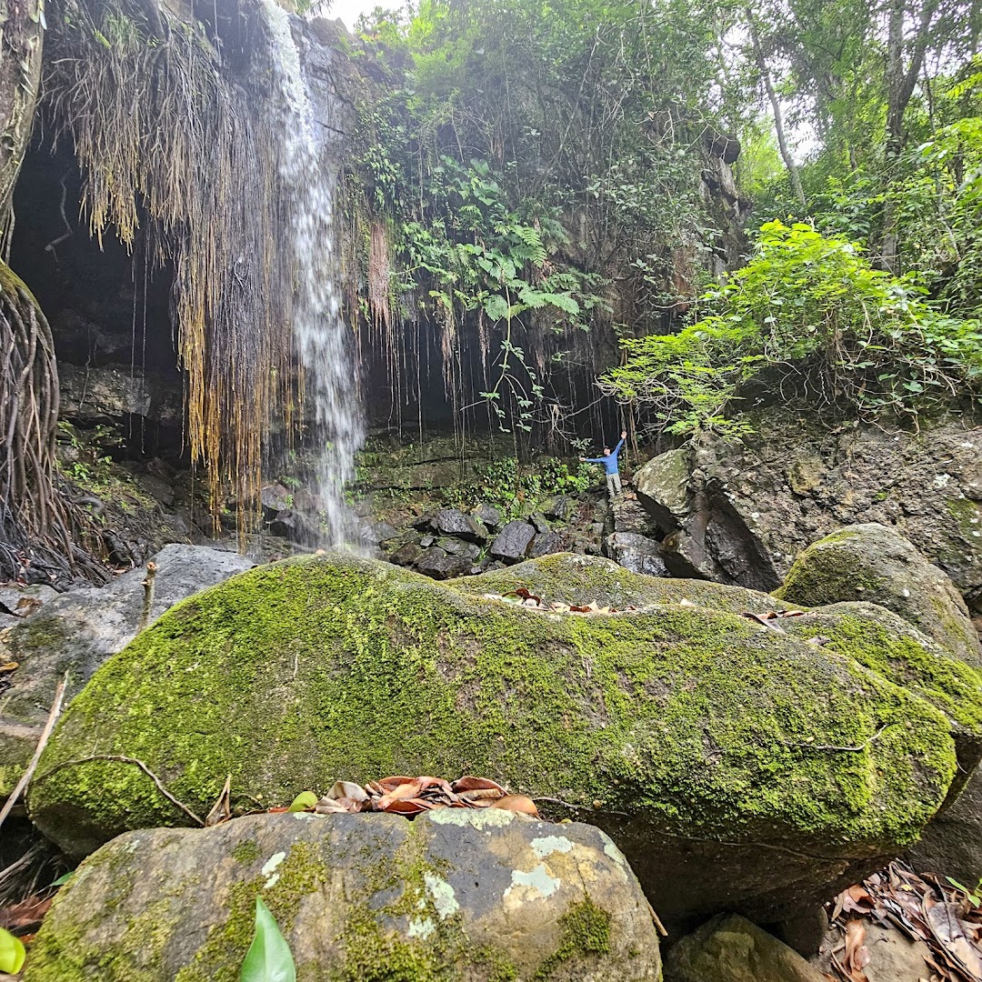 Reserva Natureza Divina - Image 3