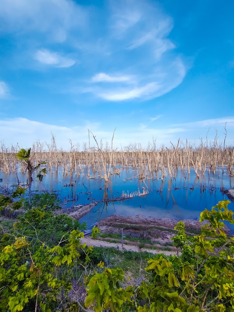 Sítio Camping Cordel - Image 4