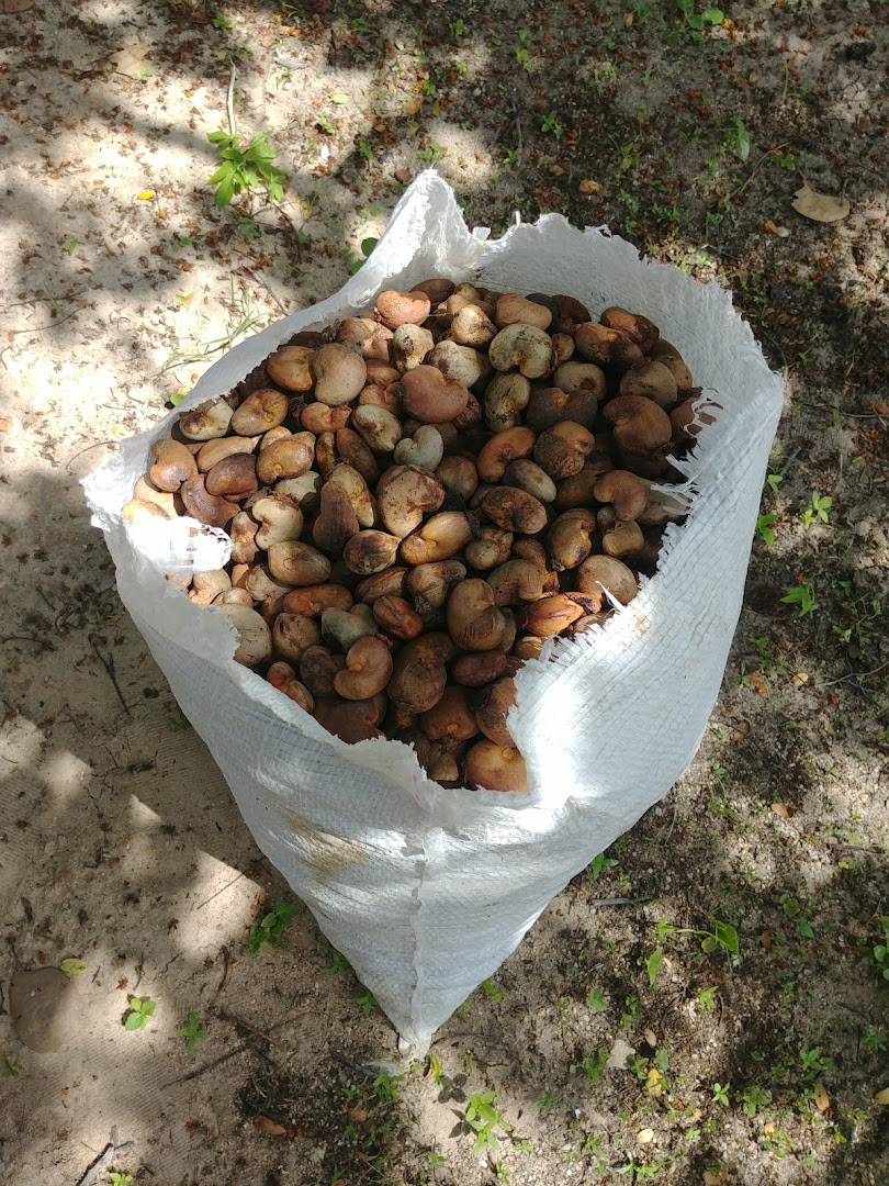 Sítio Camping Cordel - Image 5