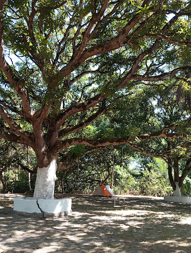 Camping Toca da Raposa - Image 4