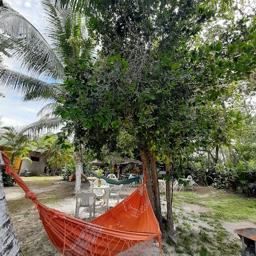 Camping praia do forte - Image 4