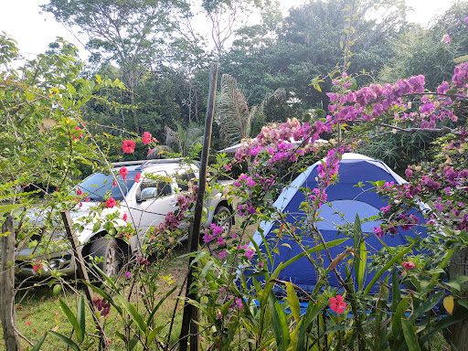Camping da Zinha ️ - Image 4