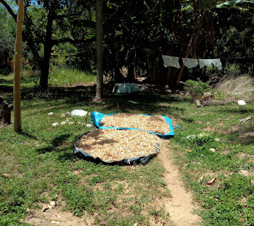 Camping Seu Manoel - Main Image