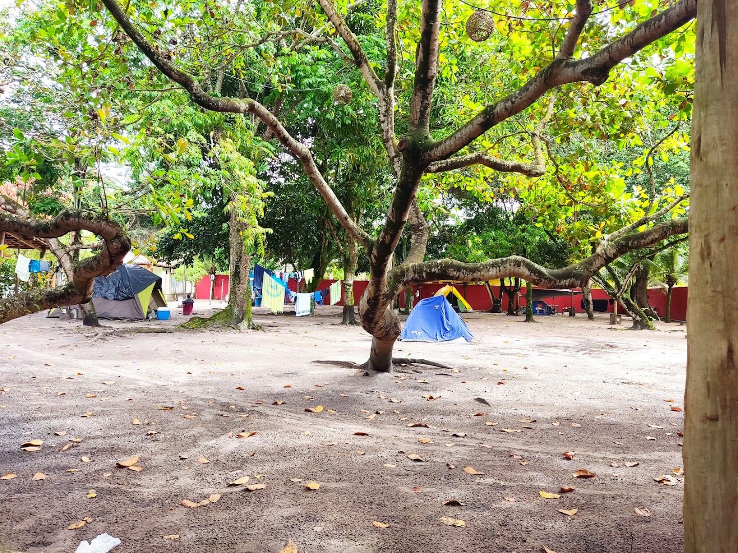 Camping Fonte dos Frades - Image 2