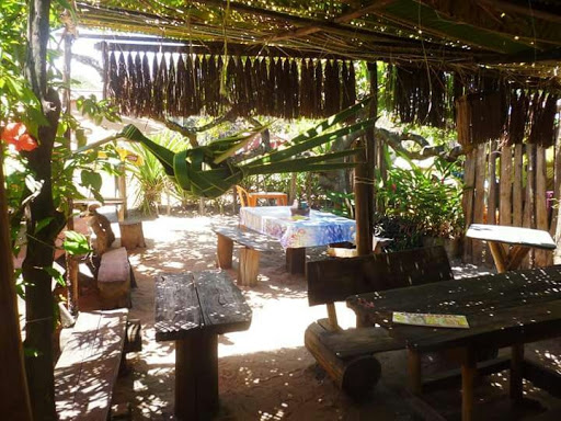 O Cajueiro - Main Image