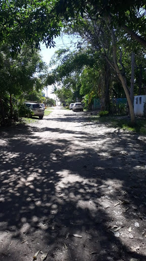 O Cajueiro - Image 4