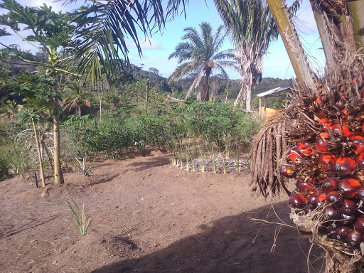 Zion House Reggae Camping - Image 3