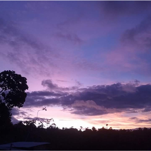 Zion House Reggae Camping - Image 4