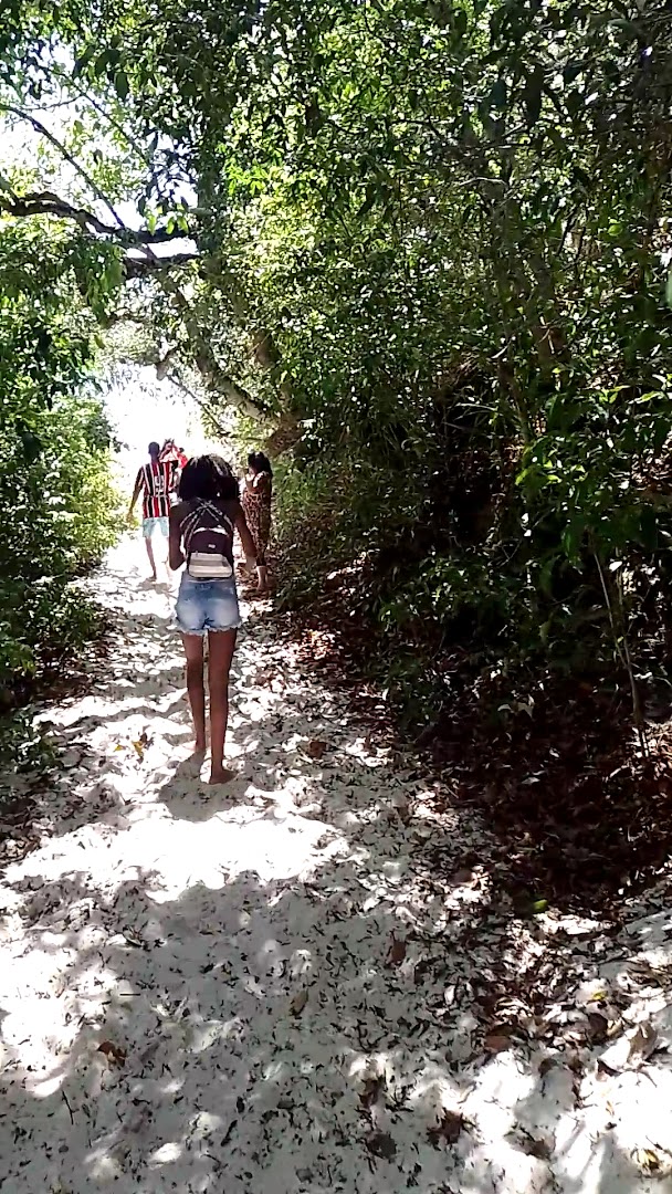 "Madreselva en Flor" Hostel/Camping - Image 2