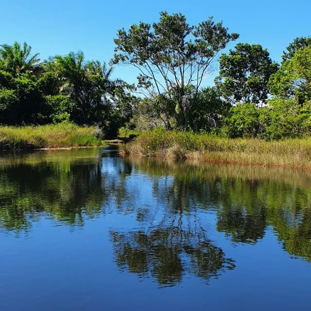 "Madreselva en Flor" Hostel/Camping - Image 5