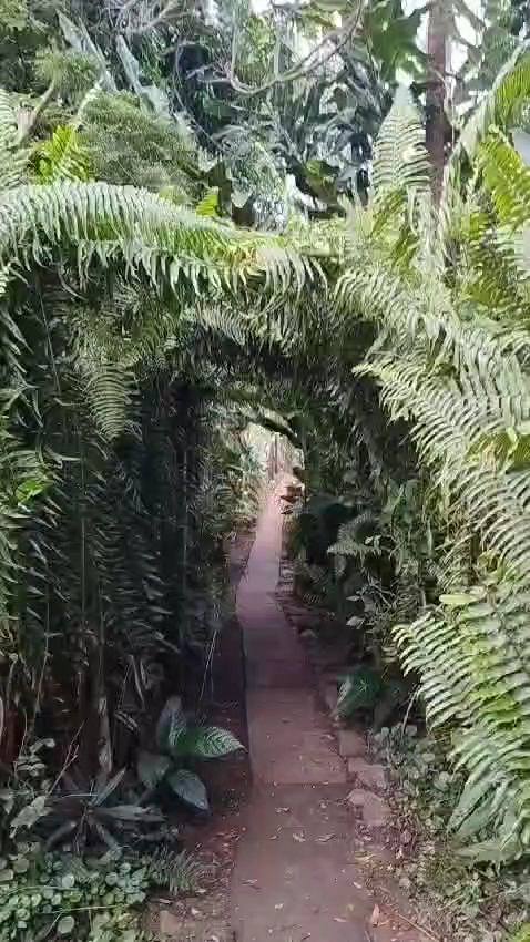 Camping Grota azul - Image 2