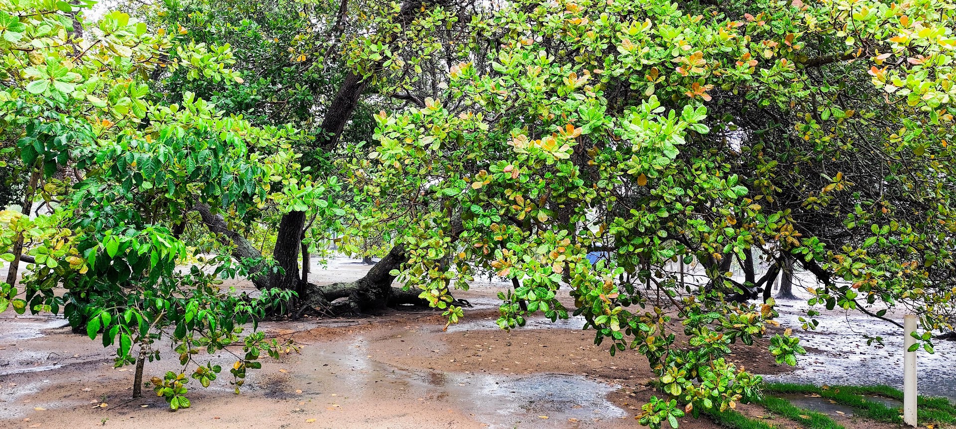 Pousada Recanto Feliz - Image 4