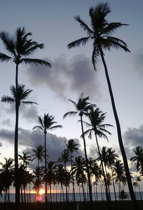 Camping Brisa Mar - Image 4