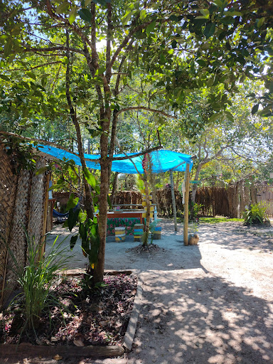 3 Passarinhos Itacaré - Image 3