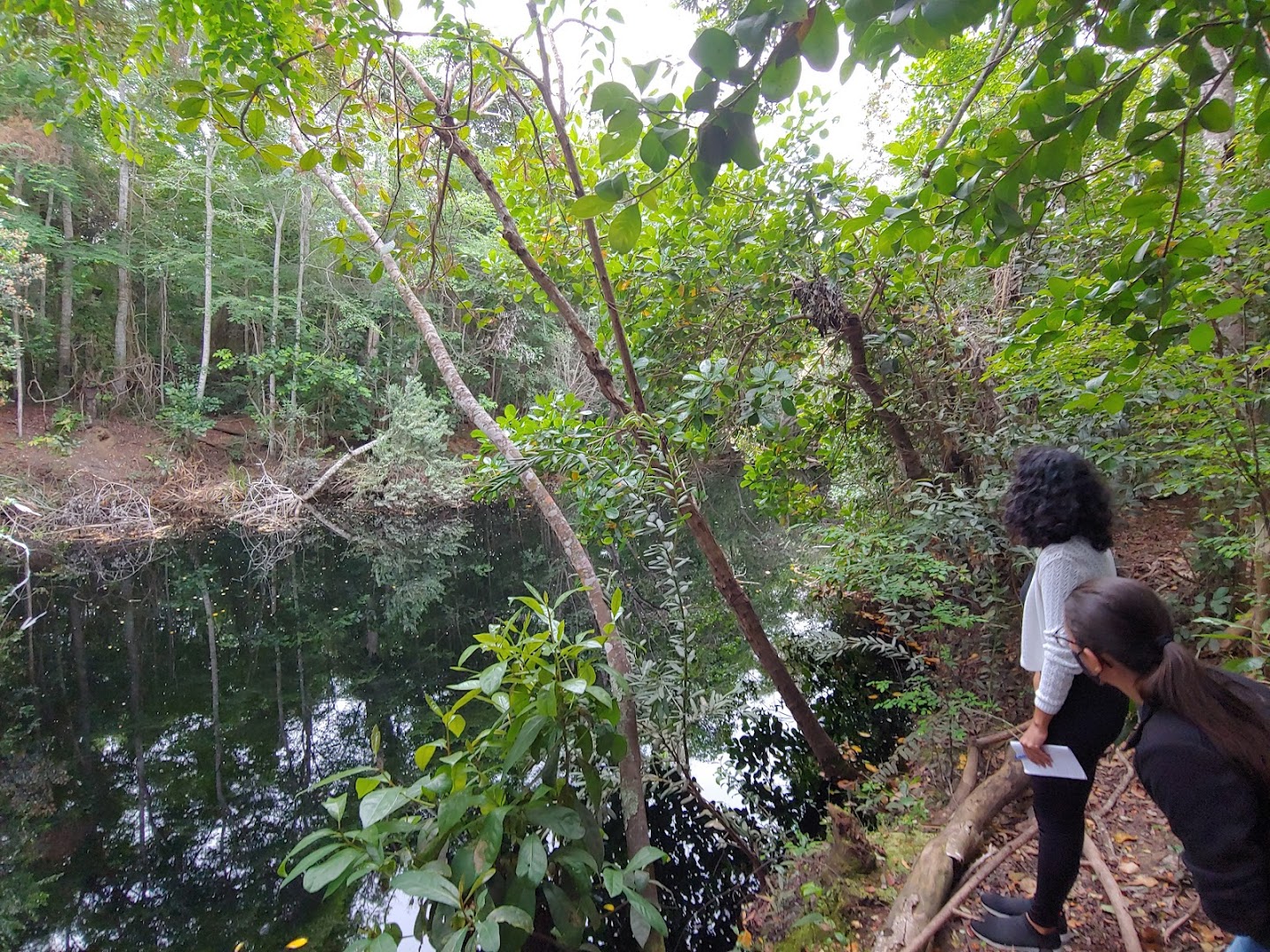 DOCE SERTÃO- Residencial - Image 4