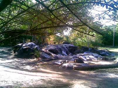 Camping Sapiranga - Image 3