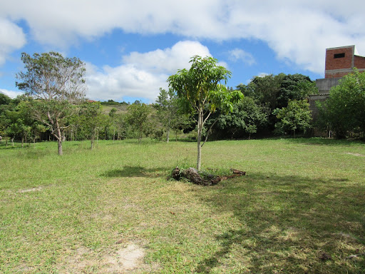 Camping Quintal de Casa - Image 3