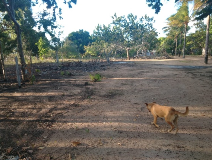 Fazenda camping família oascke - Main Image