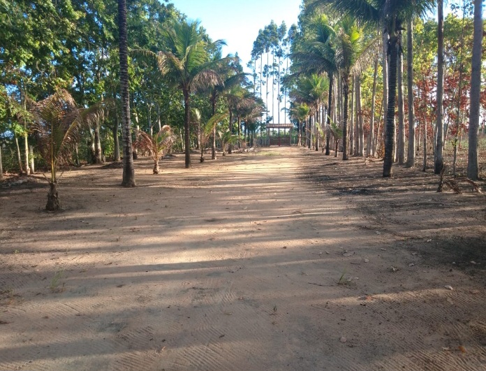 Fazenda camping família oascke - Image 5