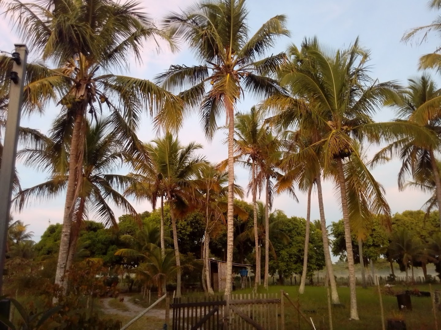 Pôr do Sol Camping - Image 2