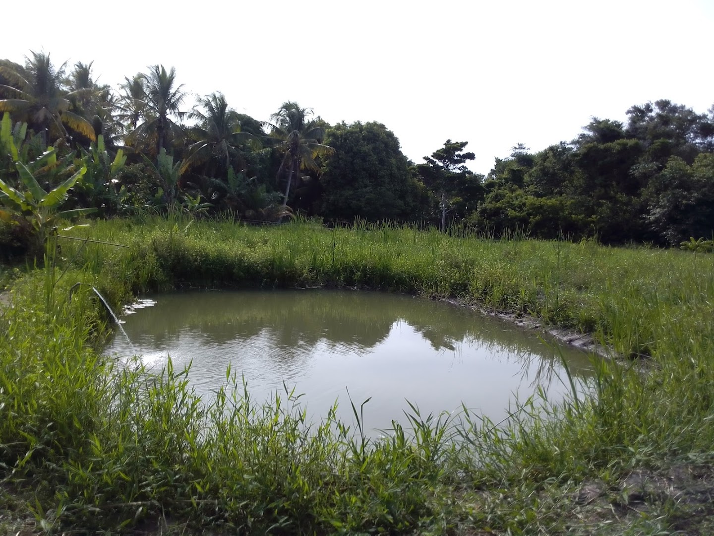 Pôr do Sol Camping - Image 3