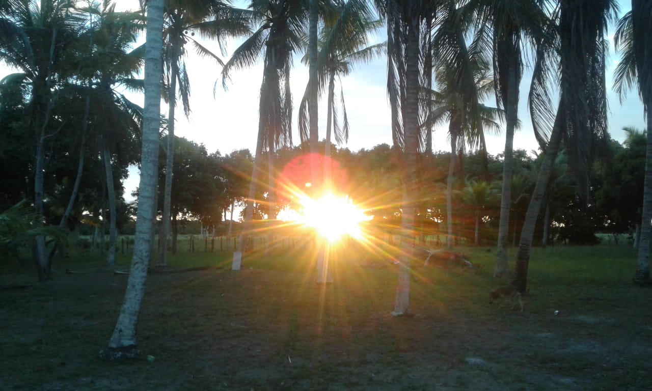 Pôr do Sol Camping - Image 5