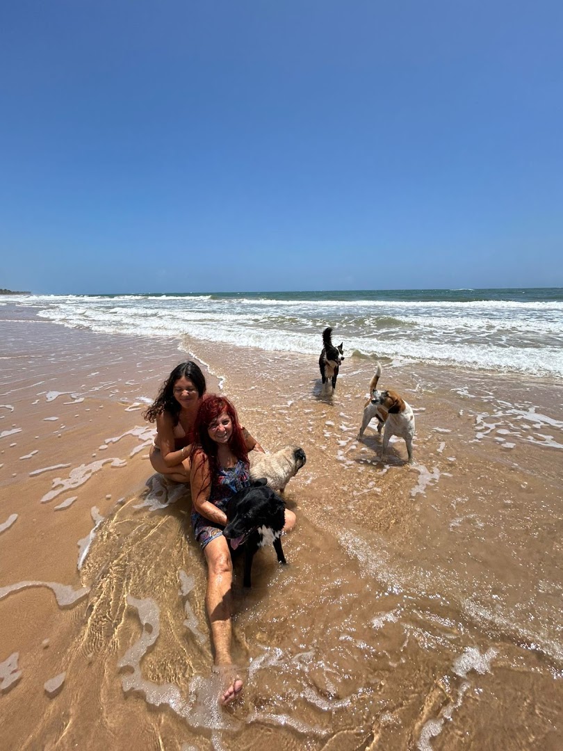 Camping pizzaria canto do sabiá - Image 2