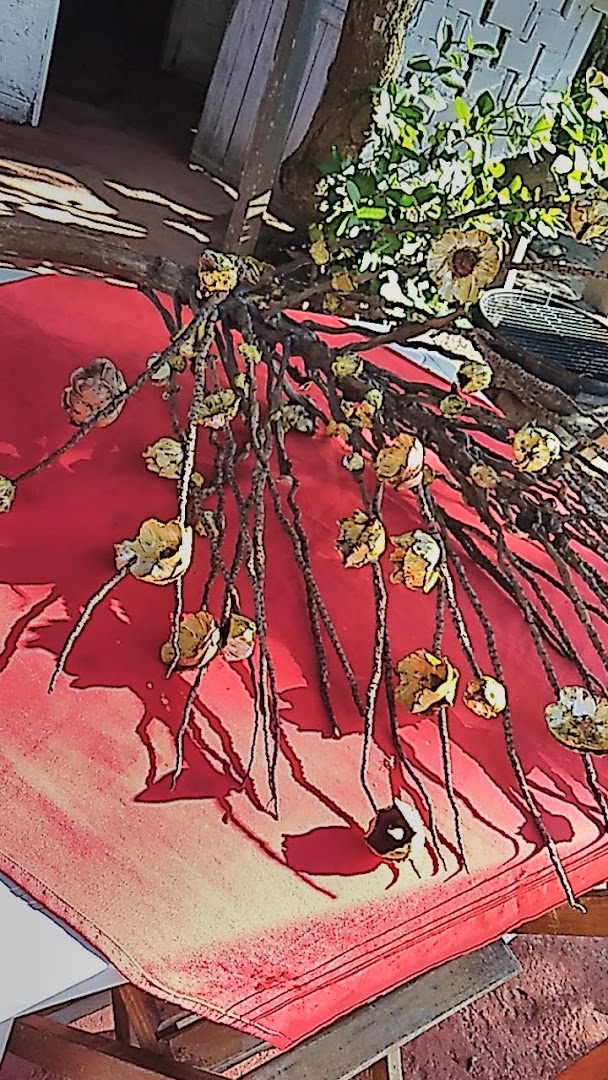 Camping pizzaria canto do sabiá - Image 4