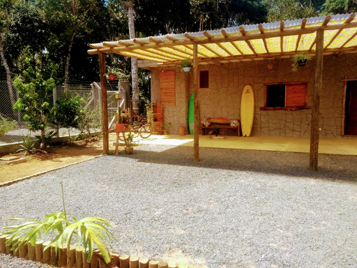 Camping Cactus - Main Image