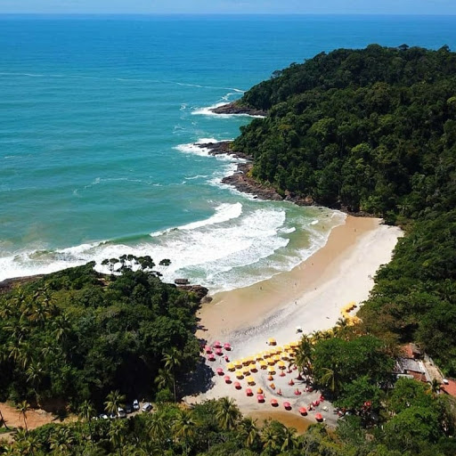 Camping Cactus - Image 2