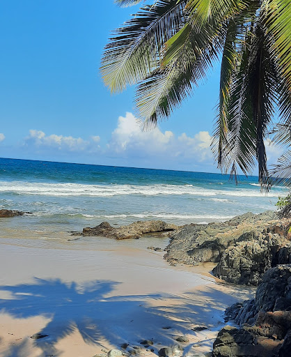 Camping Cactus - Image 3