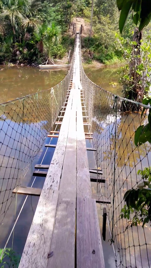 EcoForest Adventure - Image 2