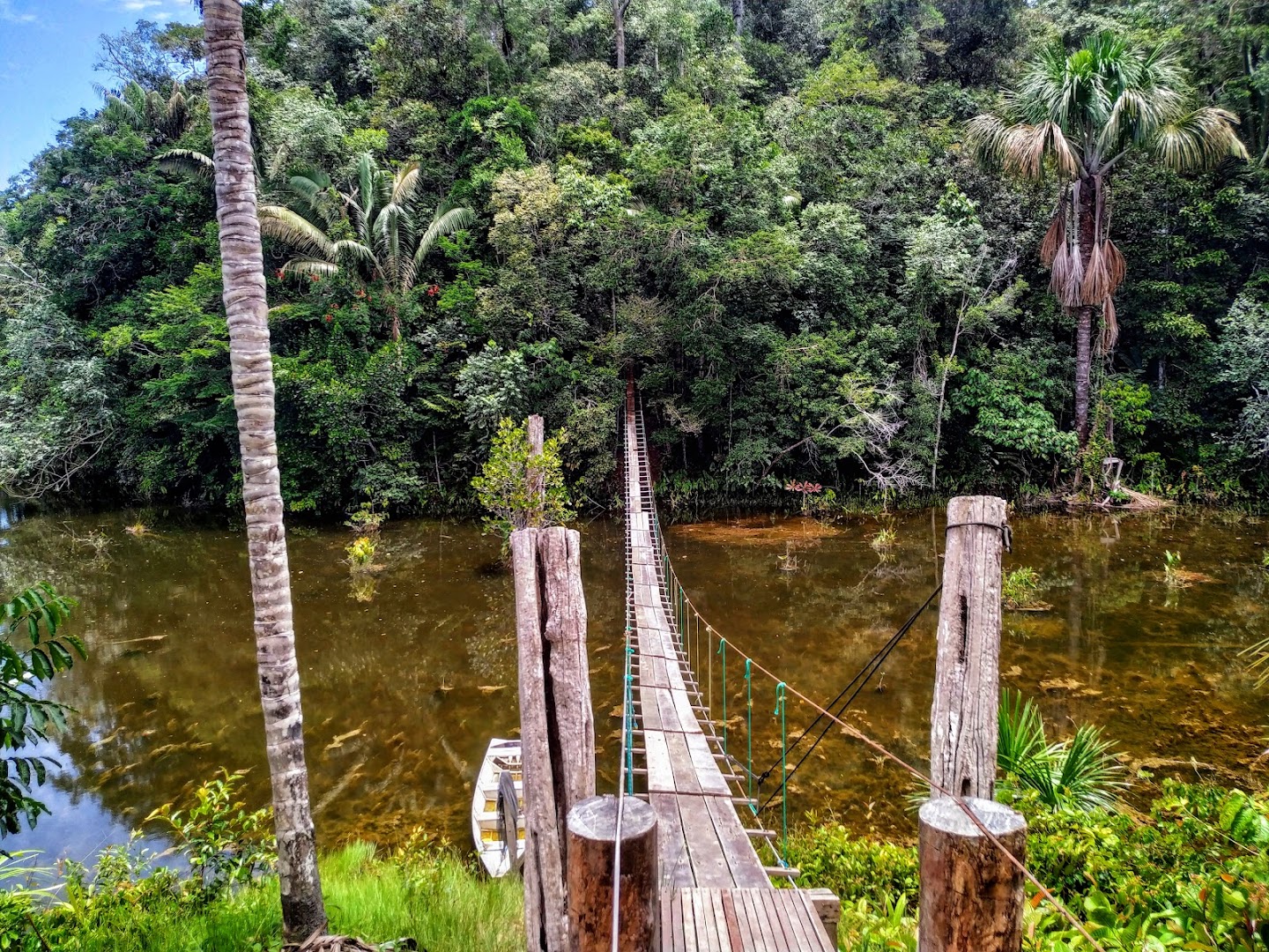 EcoForest Adventure - Image 3