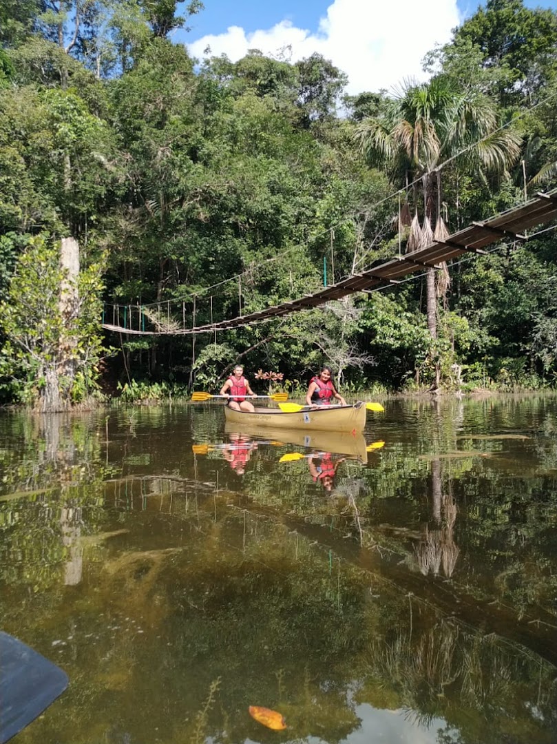 EcoForest Adventure - Image 5