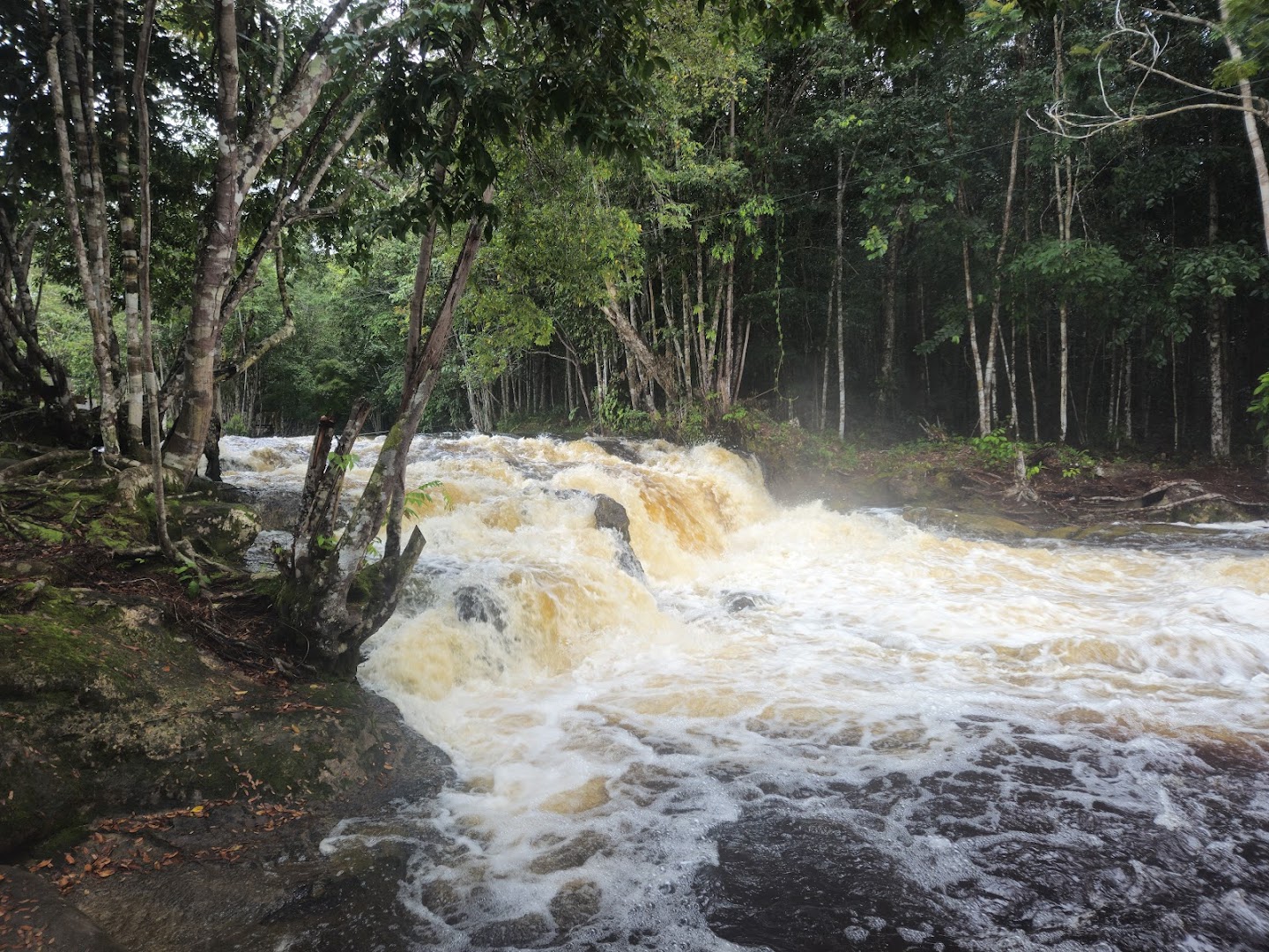 Cachoeira dos Pássaros - Image 4