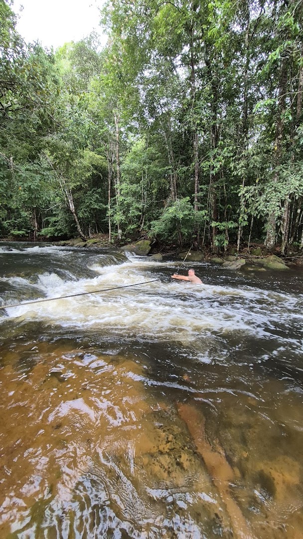 Cachoeira dos Pássaros - Image 5