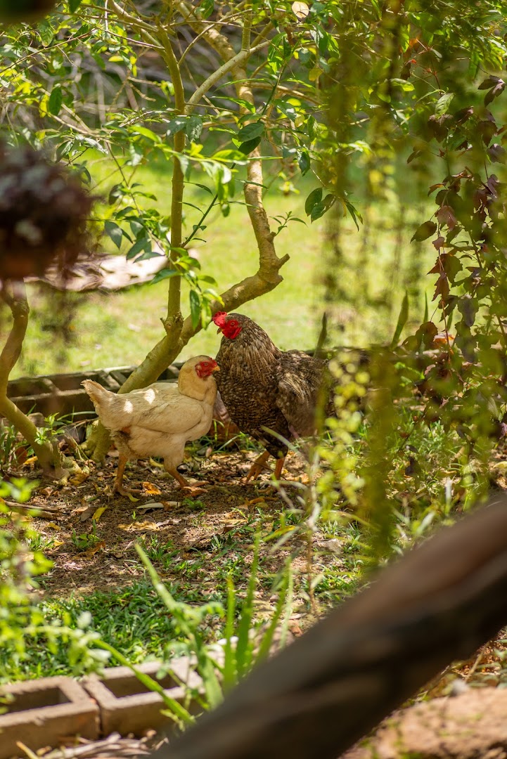 Casinha do Amor - Hospedagem Rural e Glamping - Image 5