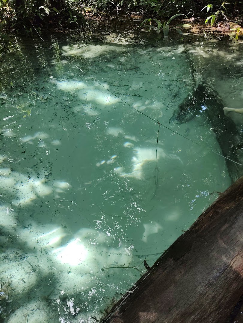 Fervedouro do Maranhão - Image 3