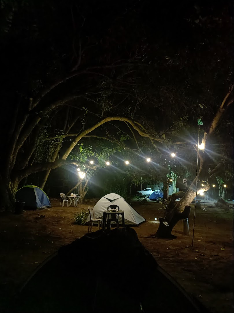 EcoVibes Camping - Main Image