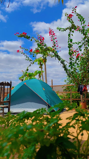 Camping 🏕️ encanto da trilha - Image 4