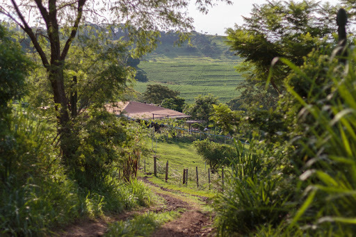 Camping São Francisco - Image 3